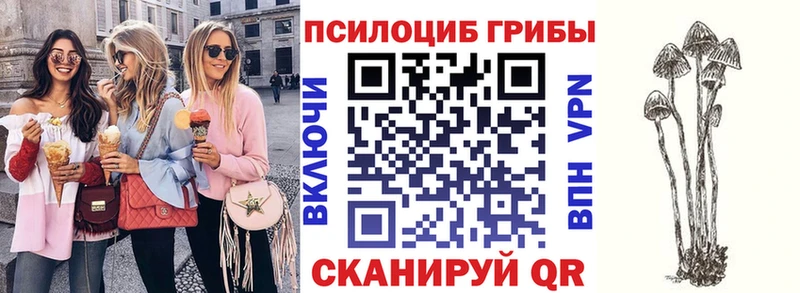 Псилоцибиновые грибы мухоморы  omg ссылка  Темрюк 